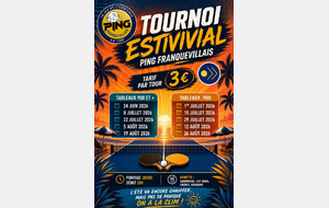 Tournoi d'été Ping Franquevillais